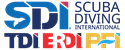 SDI · TDI · ERDI · PFI 공식 사이트